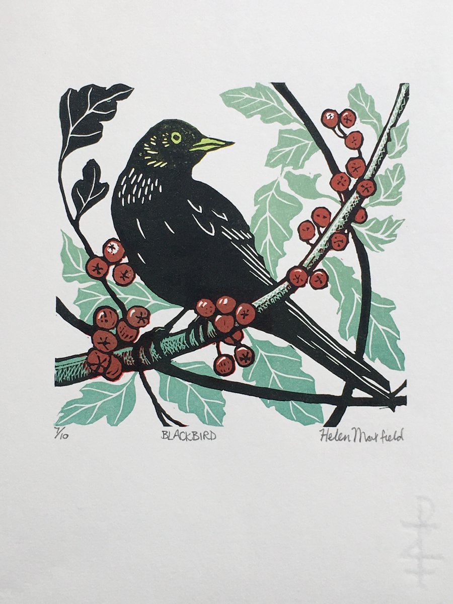 Blackbird by Helen Maxfield