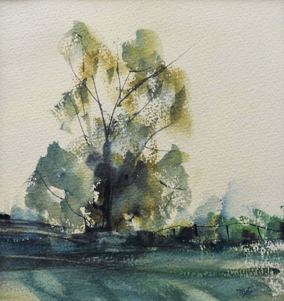 SUMMER TREE, Worcestershire. Original watercolour landscape painting.