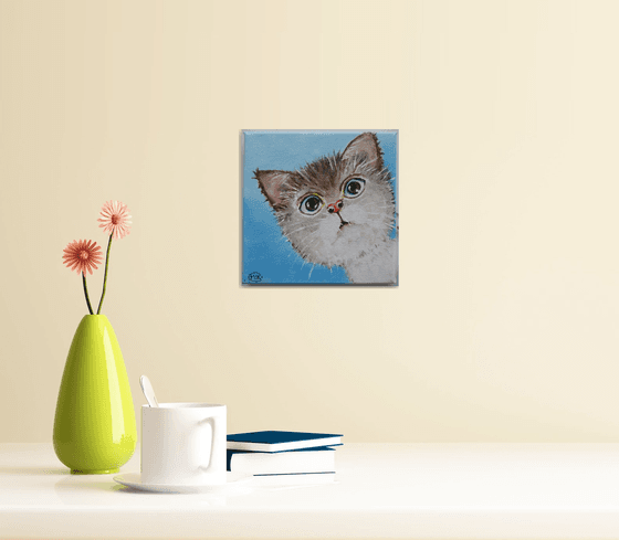 Cute Kitten Cat Portrait