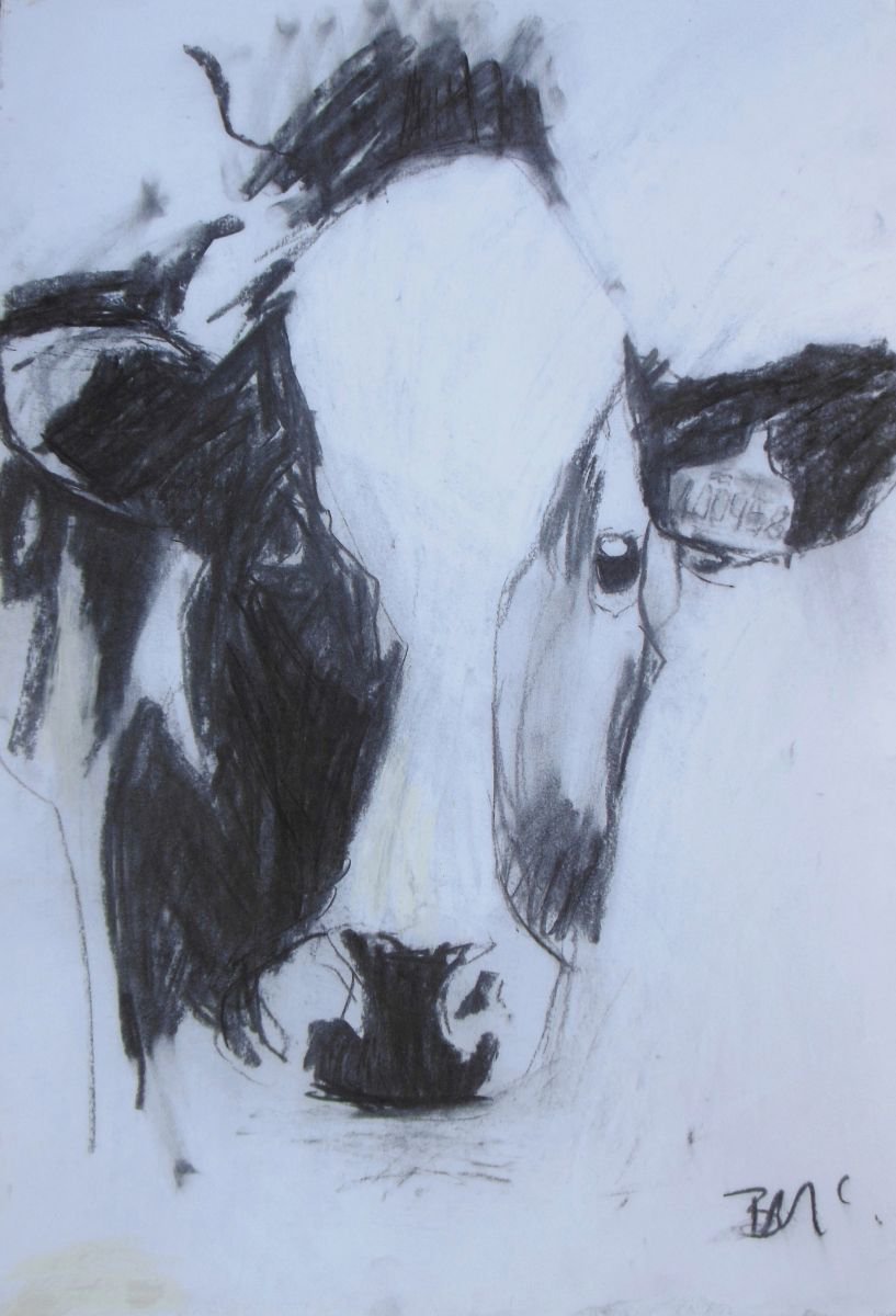 Cow Drawing II by Ben McLeod