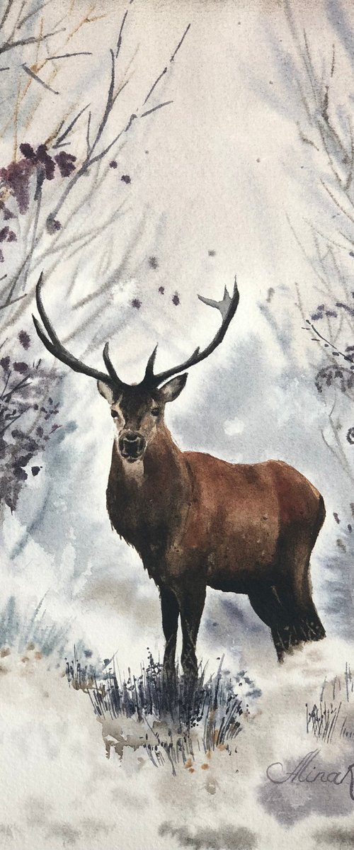 Deer in the forest by Alina Karpova