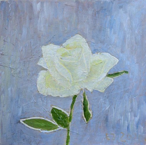 White rose by Elena Zapassky
