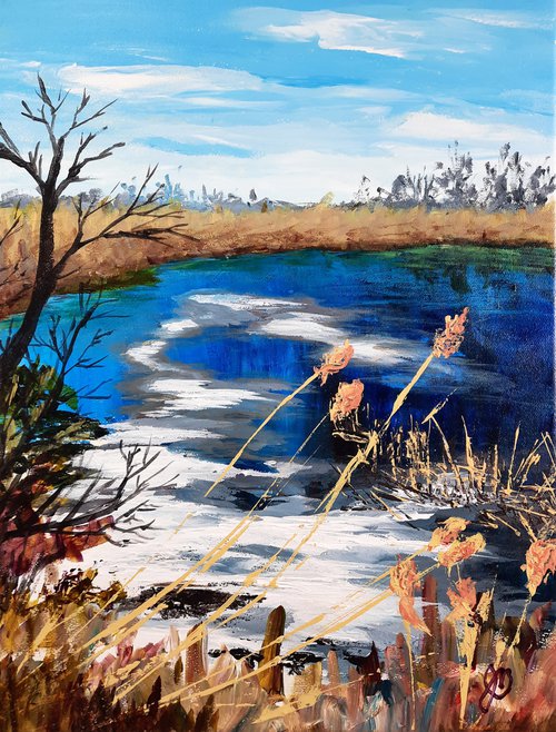 Frozen pond in Breakeyville, #219 by Jules Morissette