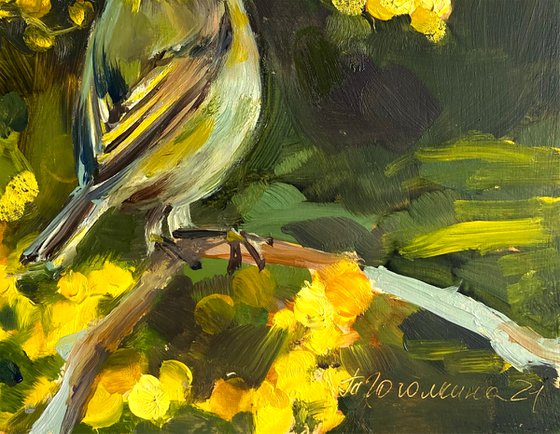 Goldcrest bird