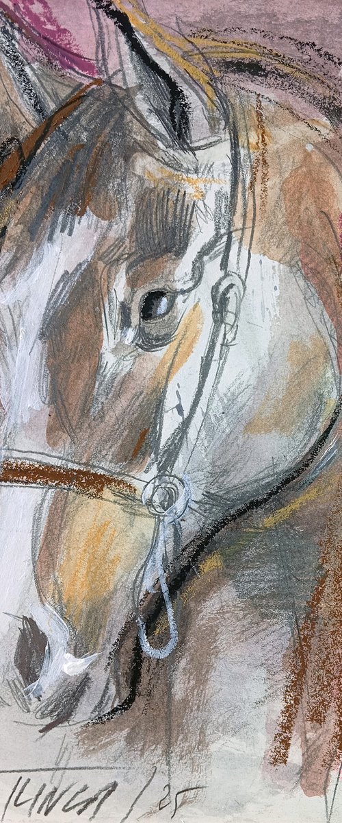 Wild grace 2-2025 (study) by Catalin Ilinca