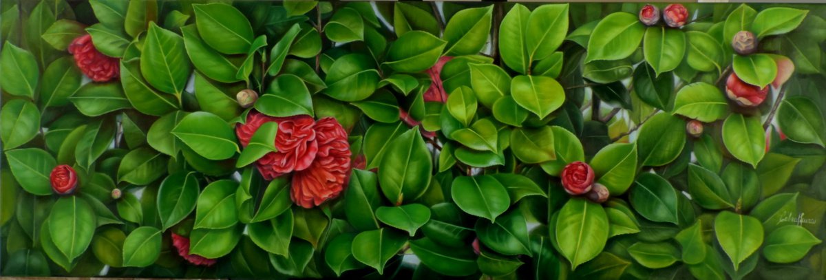 Photorealistic Oil Painting , Blooming Camellia By Laura Cabral, 59 X 20, Artwork For Sale On Artfinder