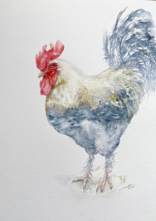 White Rooster Remo by Arti Chauhan