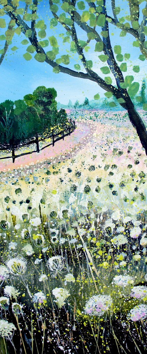 Field of Cow Parlsey by Julia  Rigby