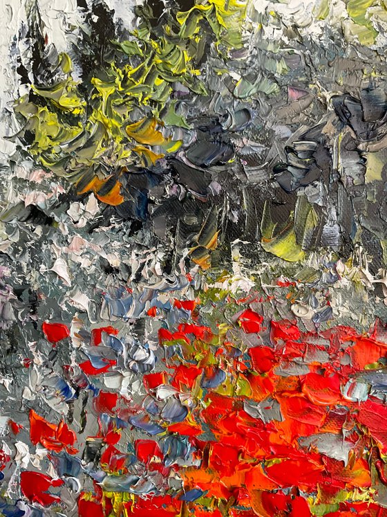 Poppies on grey background