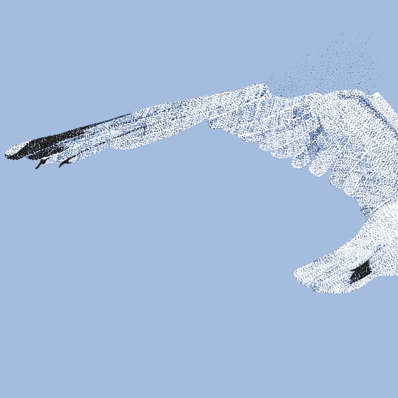 Seagull - Limited Edition Print