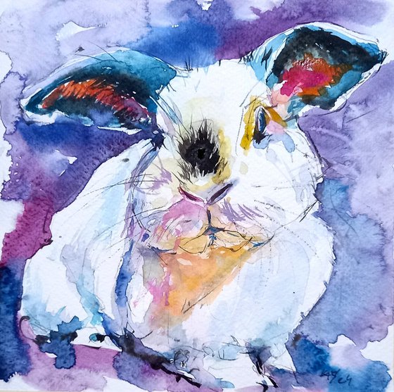Cute rabbit III
