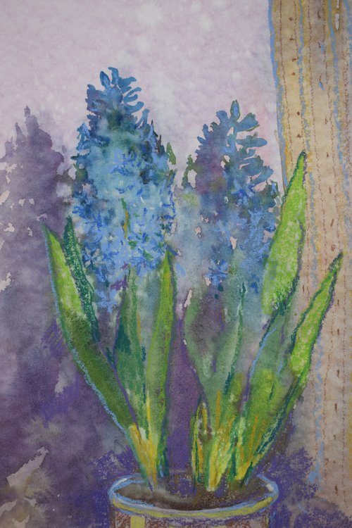 Spring morning. Hyacinth. by Elena Sanina