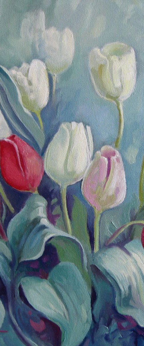 Tulips by Elena Oleniuc