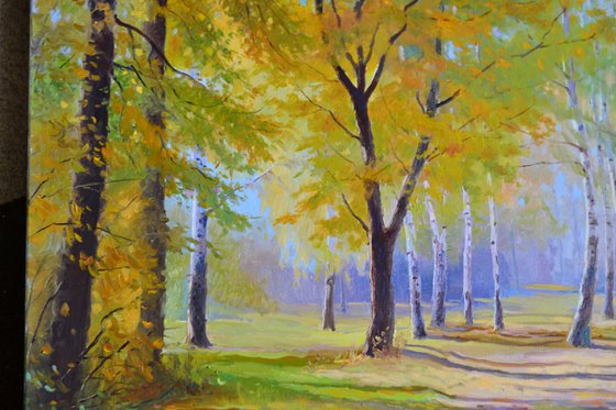 Autumn in the birch park