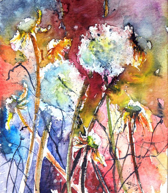 Dandelion