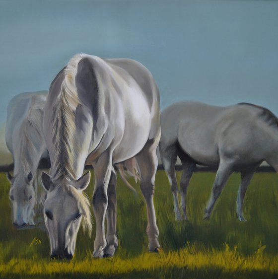 White Horses