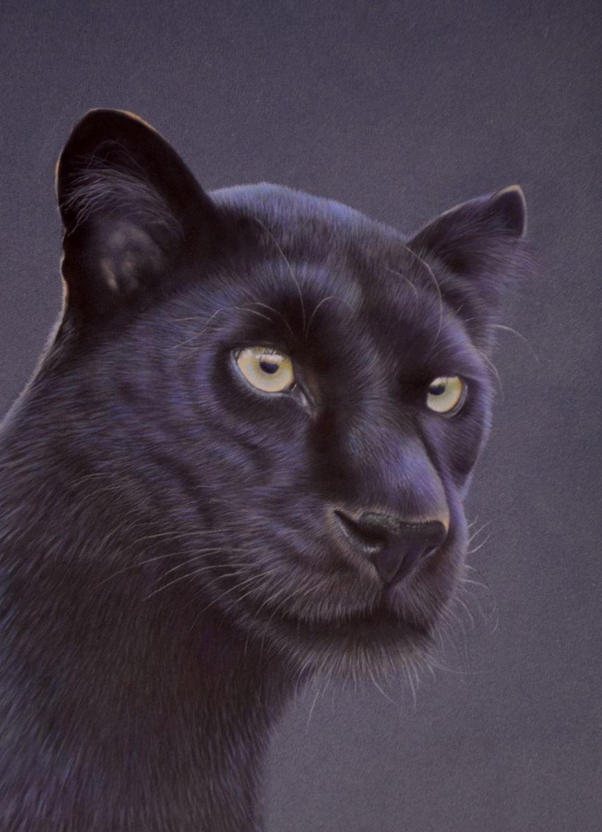 Panther Portrait by Debra Spence
