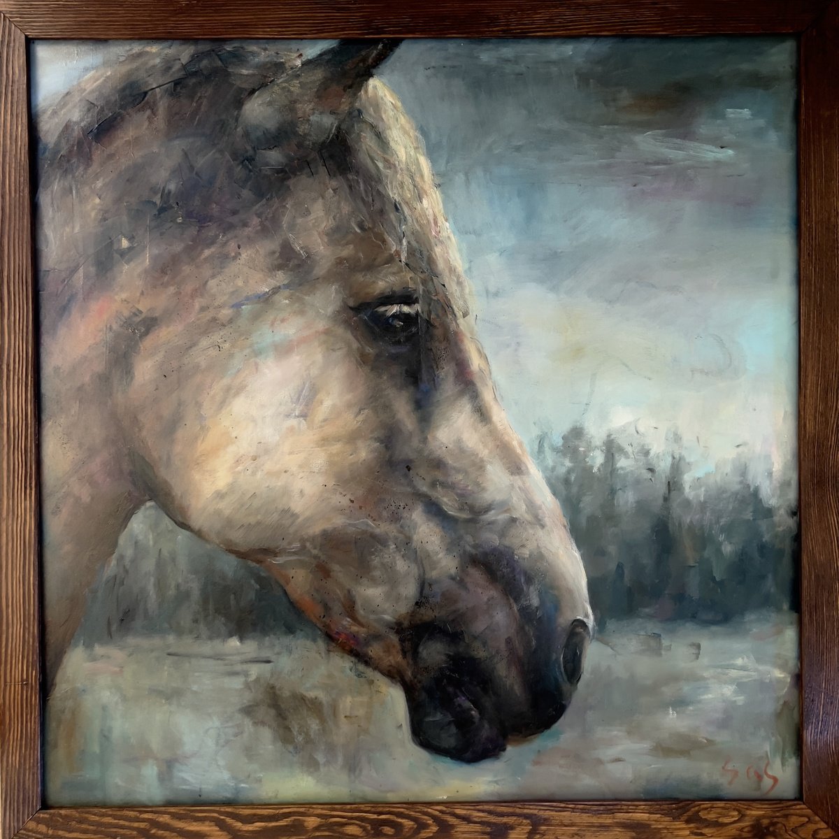Animal Oil Painting By Liubou Sas, 31 X 31", Horse Head, Original Artwork