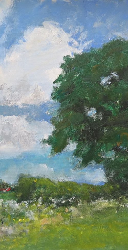 Tree, Sky and Clouds by Malcolm Ludvigsen