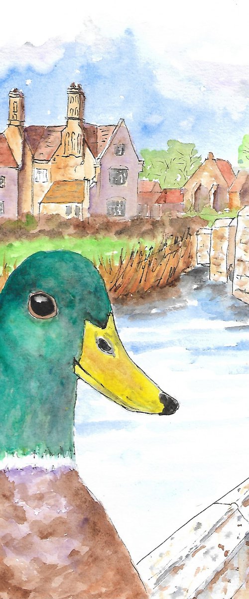 Mallard Duck at Woolbridge by MARJANSART