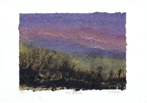 Bog Gloaming by Aidan Flanagan Irish Landscapes