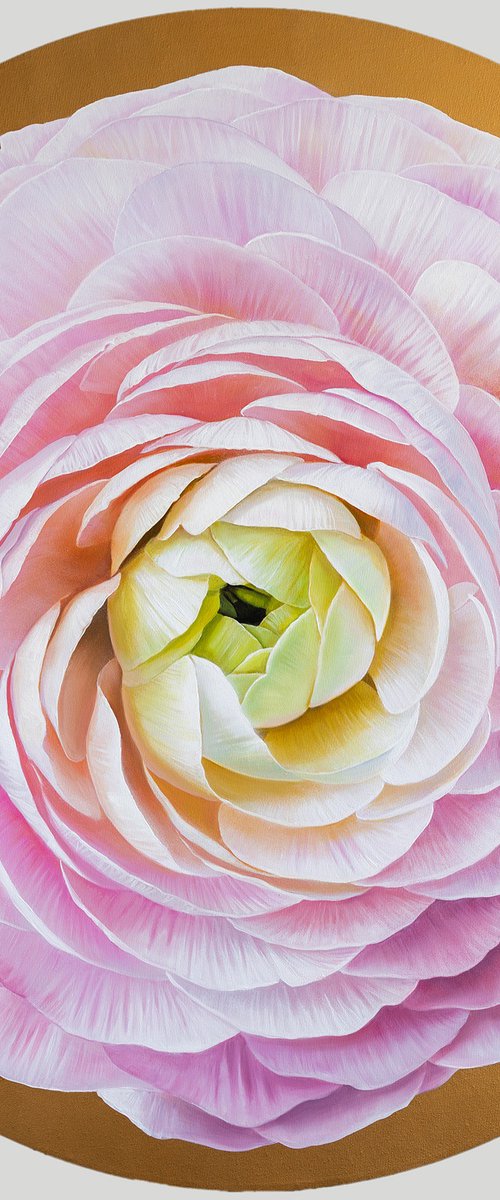 Golden Ranunculus by Ira Volkova