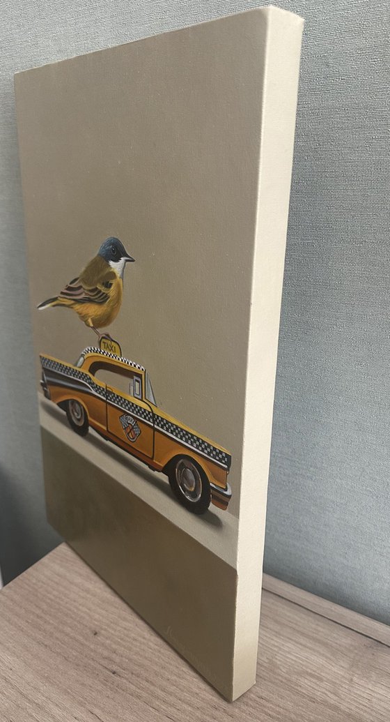 Still life with bird and Taxi 1957 Chevrolet