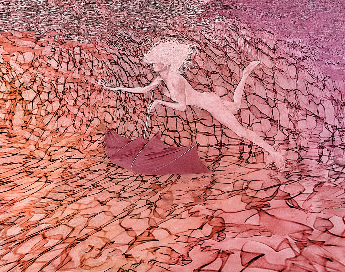 Pink Flight - underwater nude photograph print on paper 18x24 by Alex Sher