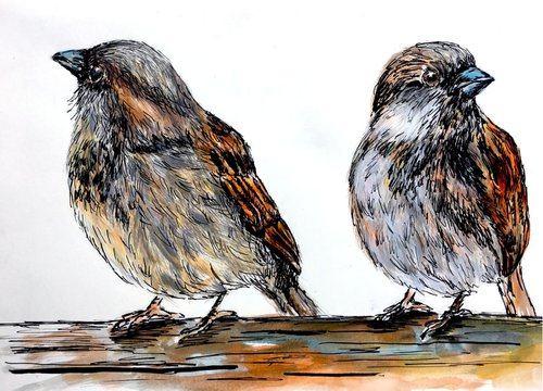Two Sparrows by Ksenia Lutsenko