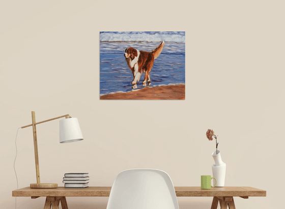 Dog at the sea 5