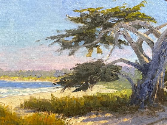 Sculpted By the Winds In Carmel