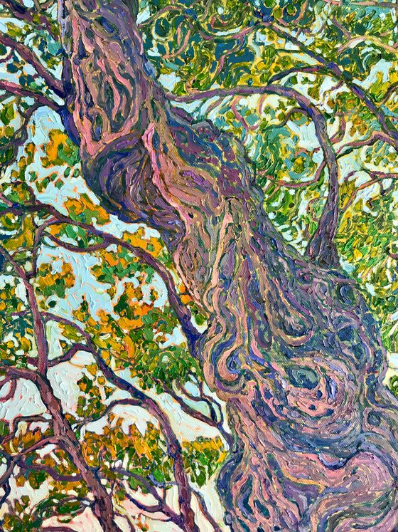 Beneath the Olive Canopy