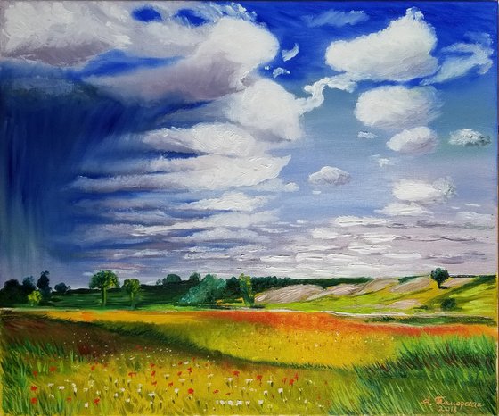 Flying Shadows