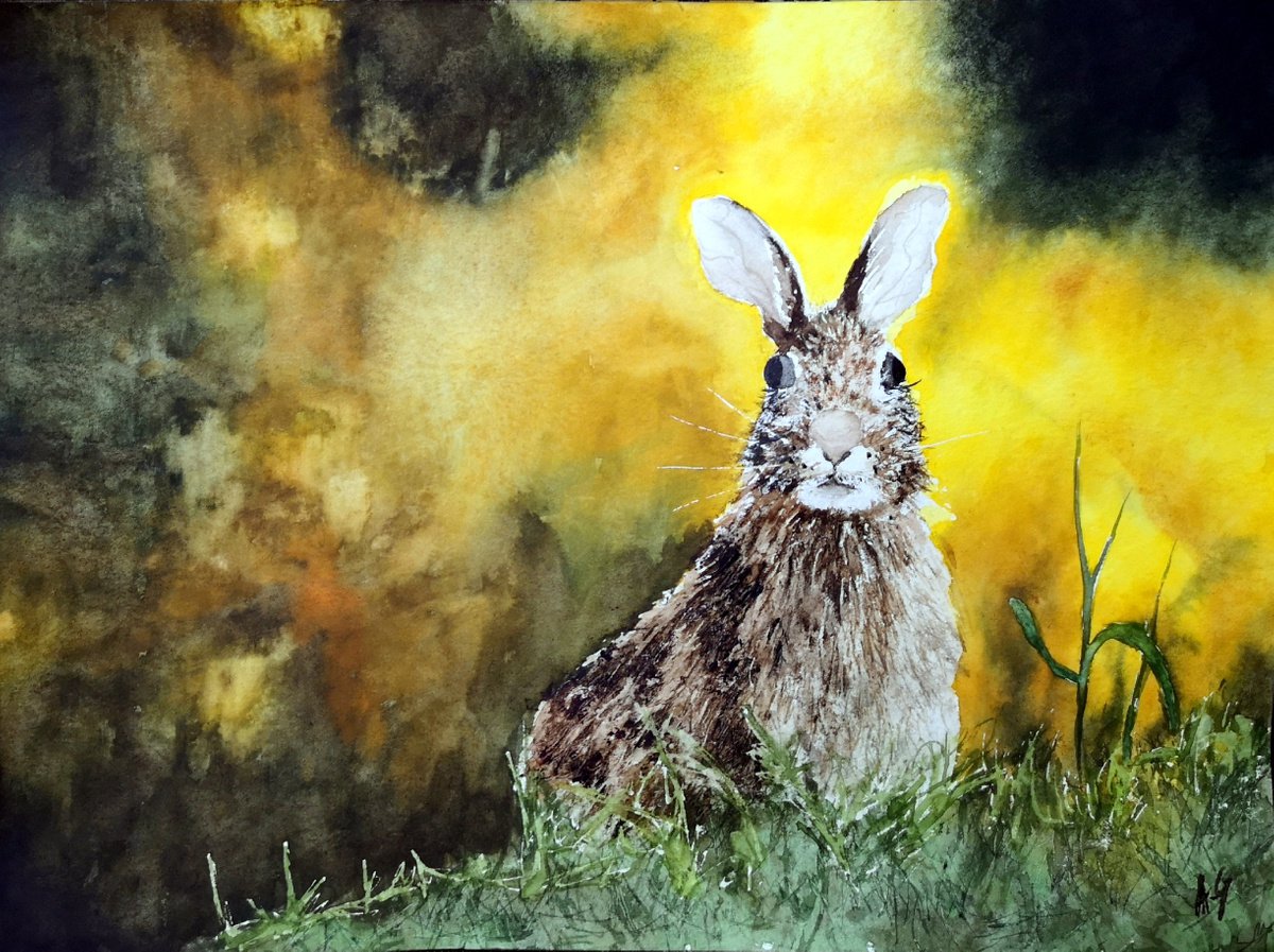 Impressionistic Animal Watercolour By Aneta Gajos, 13 X 9, Hare, Original Artwork