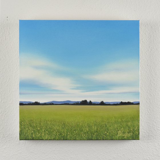 Fresh Day - Blue Sky Landscape