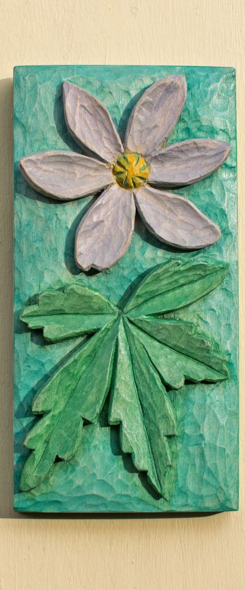 Wood Anemone by Jeremy Turner