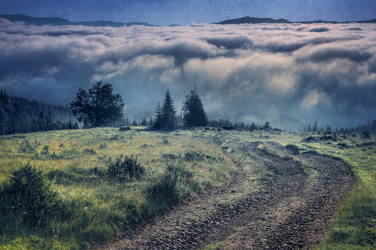 Impressionistic Landscape Photograph By Valerix, 30 X 20", Wall Of Fog At Dawn., Original Artwork
