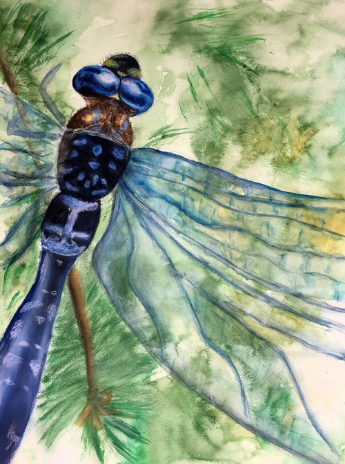 The Dragonfly by Ksenia Lutsenko