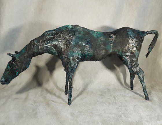 Equus