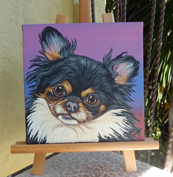 Papillion Chihuahua Pet Dog Original Art Painting-8 x 8 Inches Stretched Canvas-Carla Smale