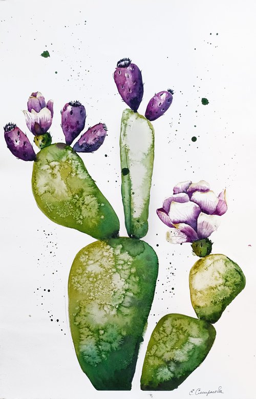 Big Cactus Illustration by Evgenia Smirnova