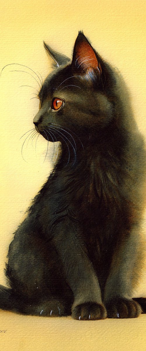 Kitten VI by REME Jr.