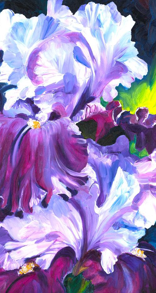 "Mariposa Wizard" Irises by Christina M Plichta
