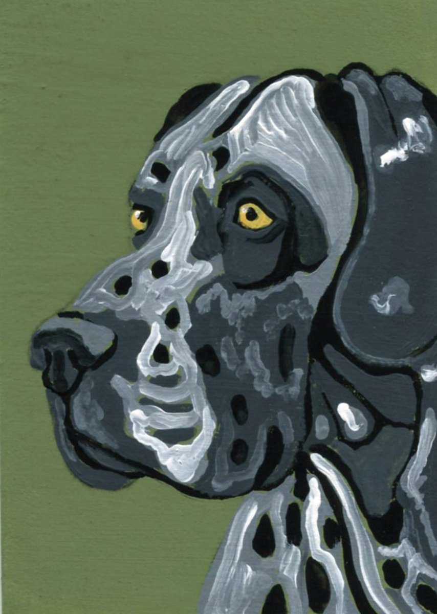 Harlequin Great Dane by Carla Smale