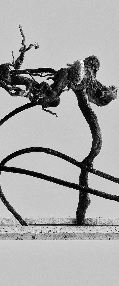 White Light#032-Steel, Tree, Stone by Keiichiro Muramatsu