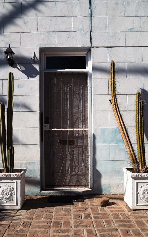 Shadows and Saguaro III by Fatima Mian