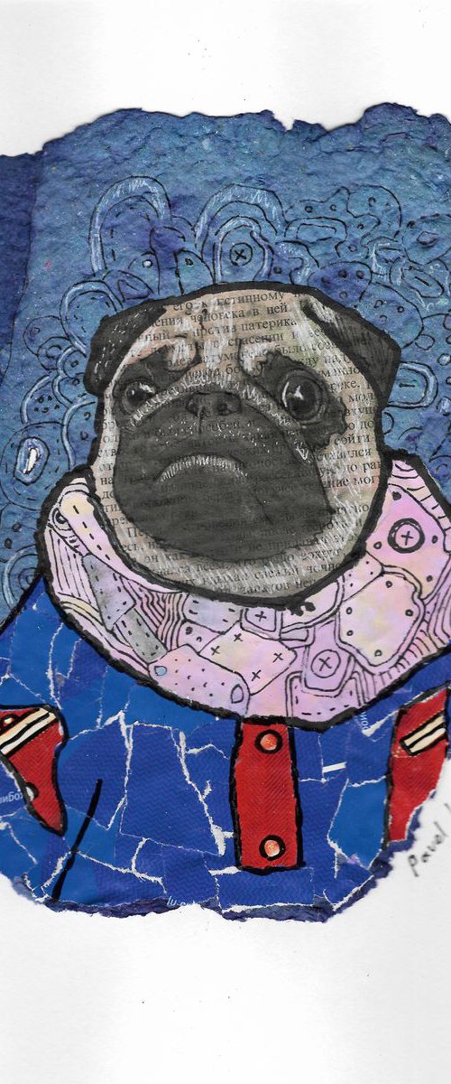 Aristocratic pug by Pavel Kuragin