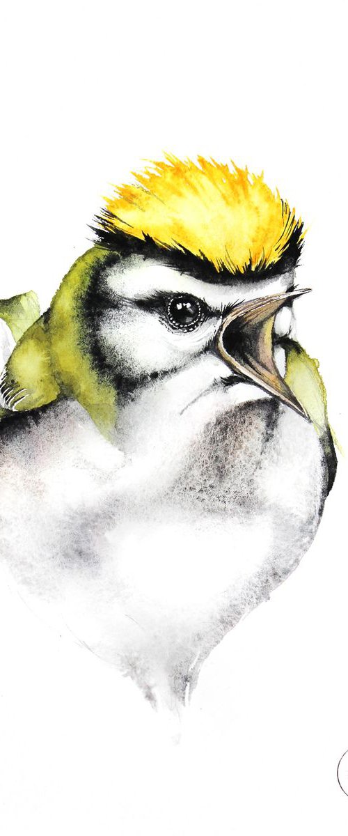 Firecrest 21x30cm, birds, wildlife and animals watercolours by Karolina Kijak