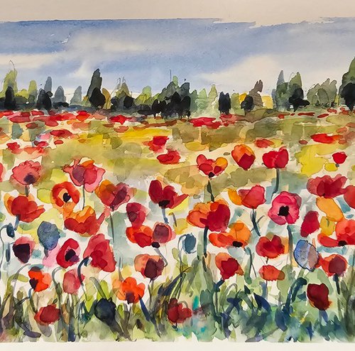 Multi coloured poppies by Silvia Flores Vitiello