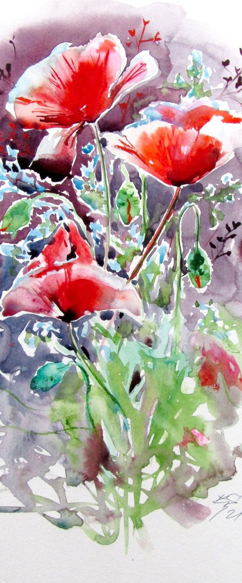Beautiful red poppies by Kovács Anna Brigitta